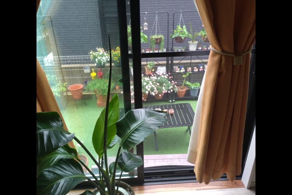 これまでの活動の画像