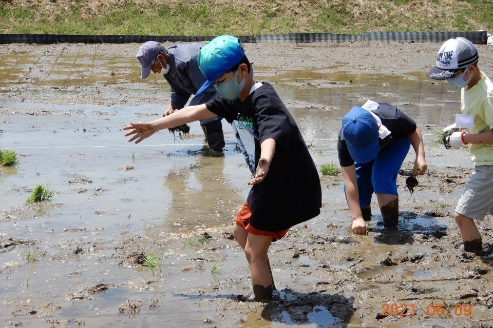 これまでの活動の画像