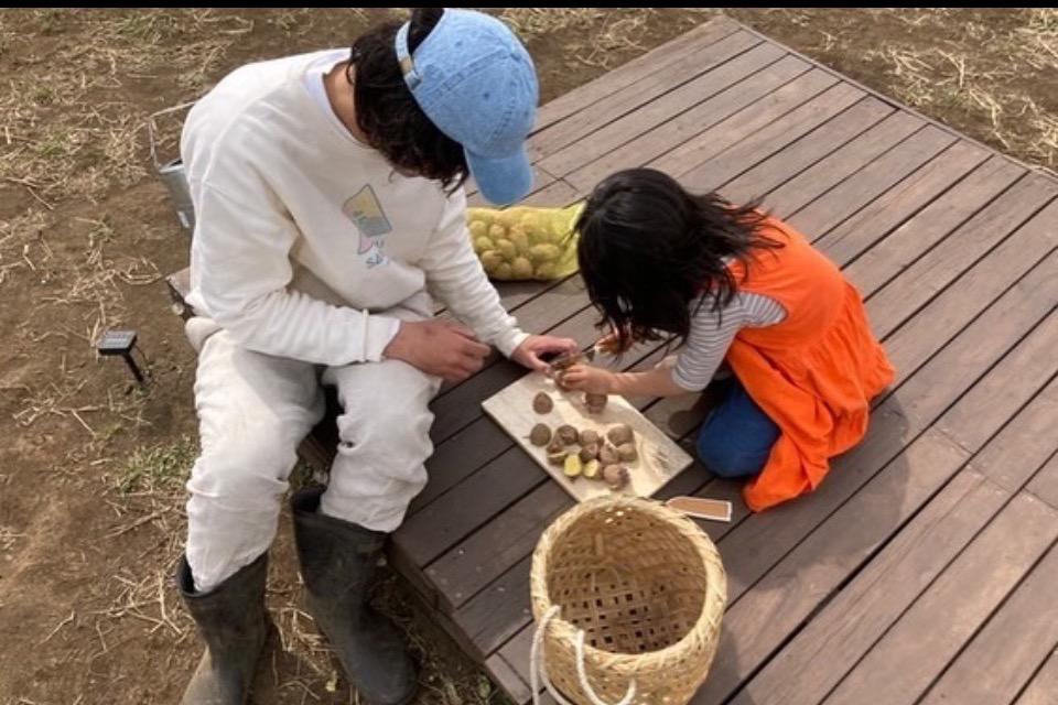 これまでの活動の画像