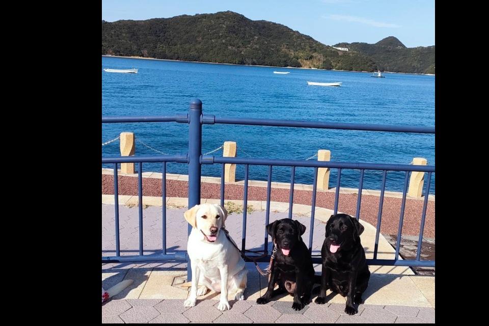 これまでの活動の画像