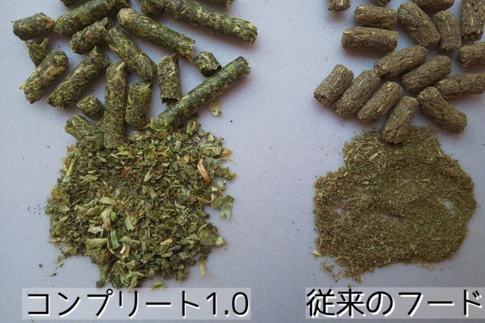 これまでの活動の画像