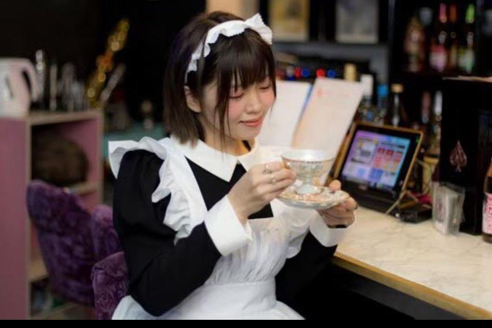 これまでの活動の画像