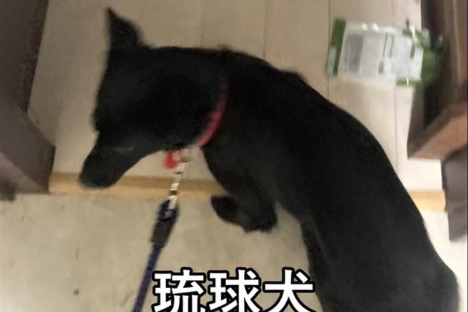 これまでの活動の画像
