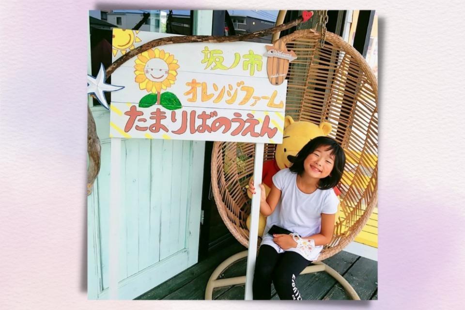 これまでの活動の画像