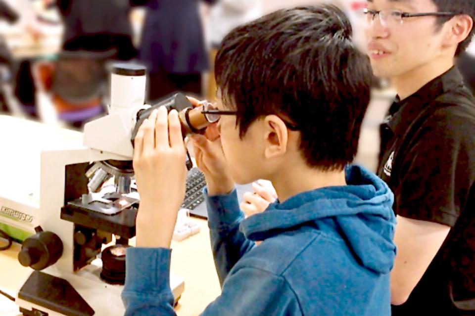 これまでの活動の画像