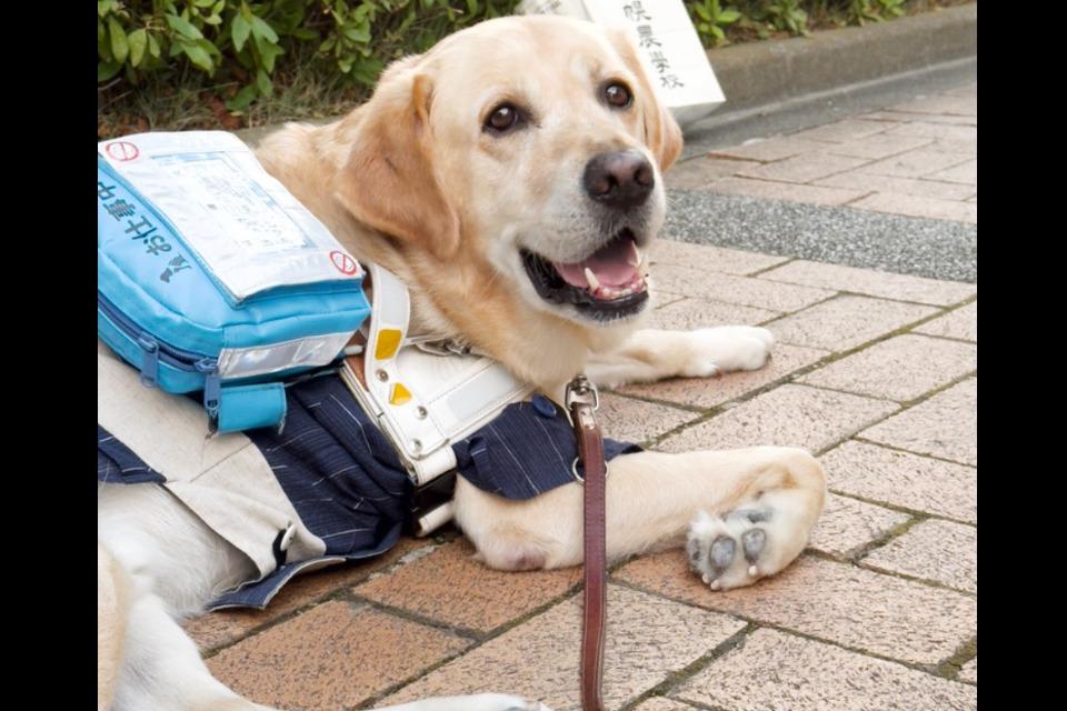 これまでの活動の画像