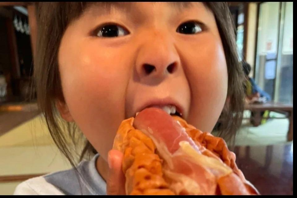 これまでの活動の画像