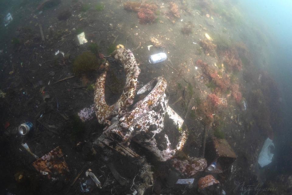 これまでの活動の画像