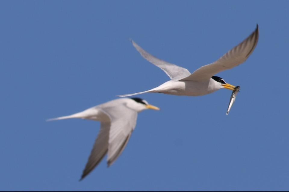 これまでの活動の画像