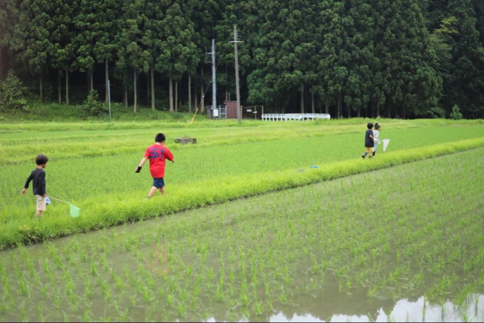 事業の必要経費の画像
