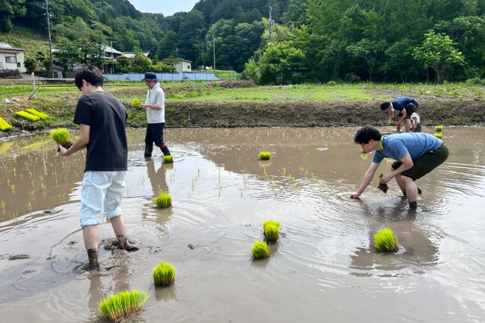 事業の必要経費の画像