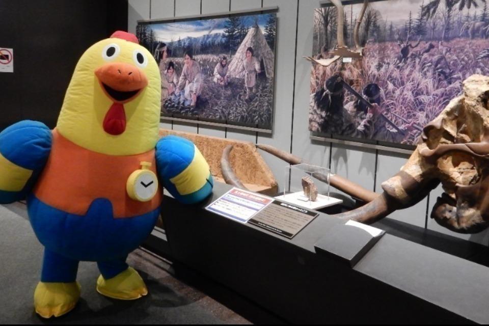 事業の必要経費の画像