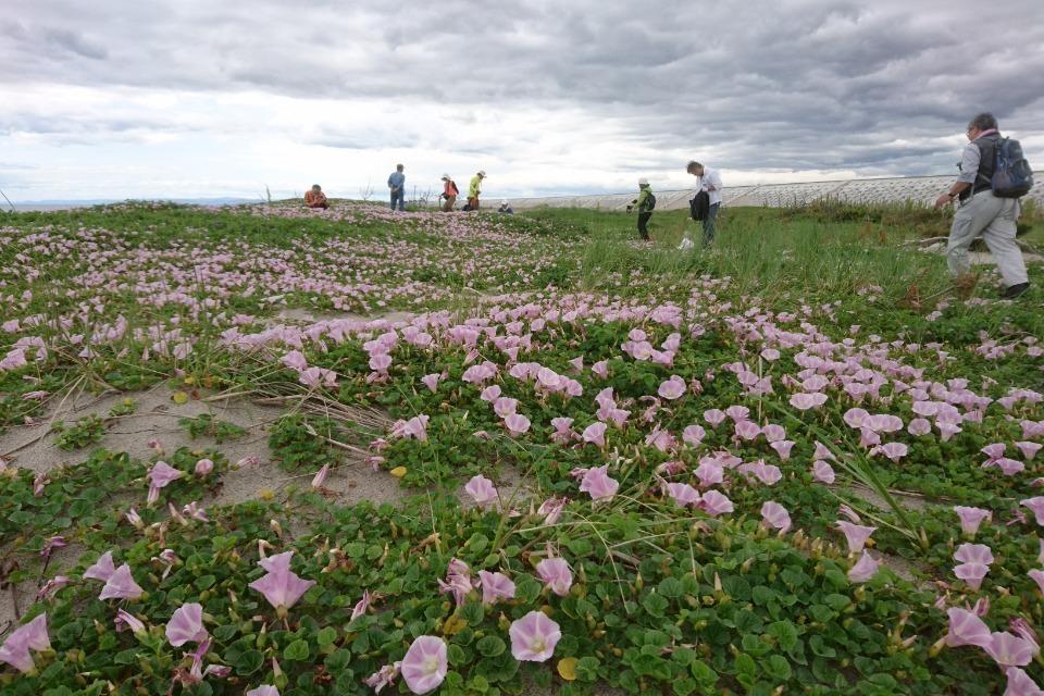 Necessary expenses of the business Image