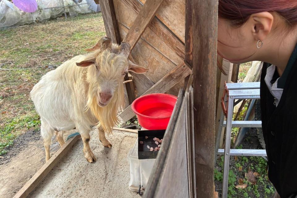 事業の必要経費の画像