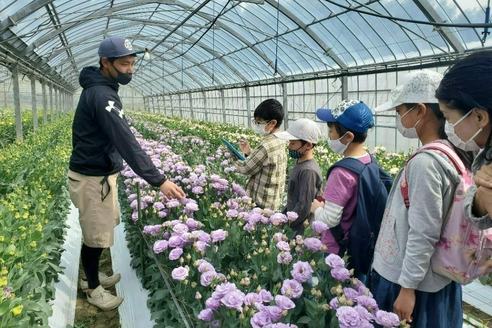 事業の必要経費の画像