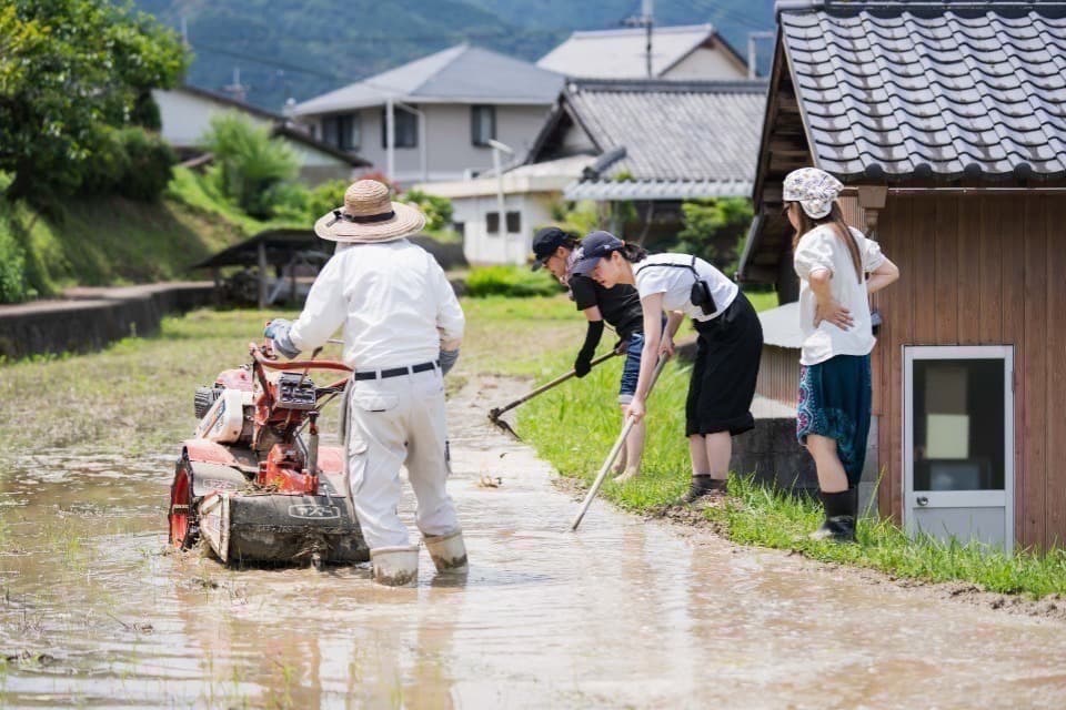 事業の必要経費の画像