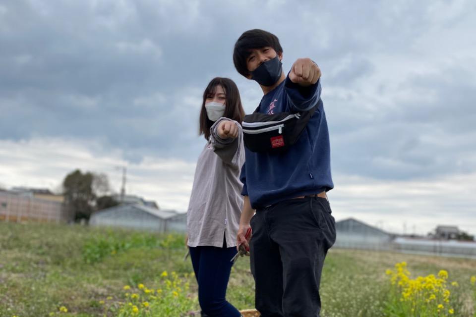 事業の必要経費の画像