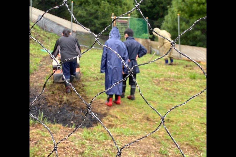 事業の必要経費の画像
