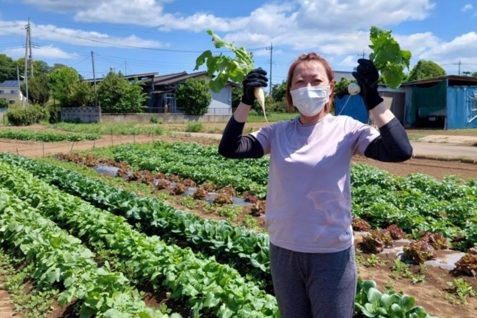 事業の必要経費の画像