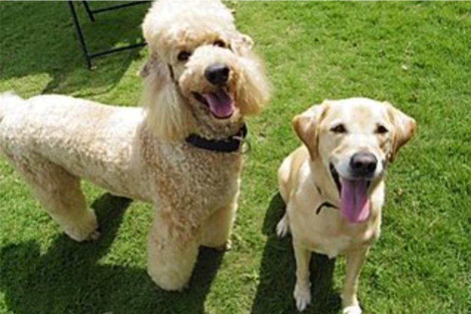 事業の必要経費の画像