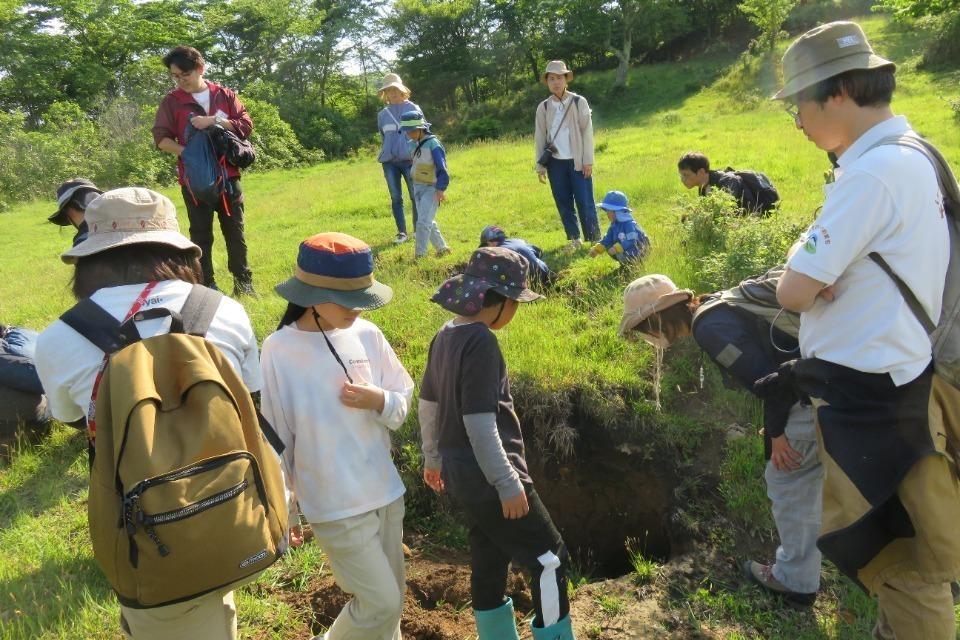 事業の必要経費の画像
