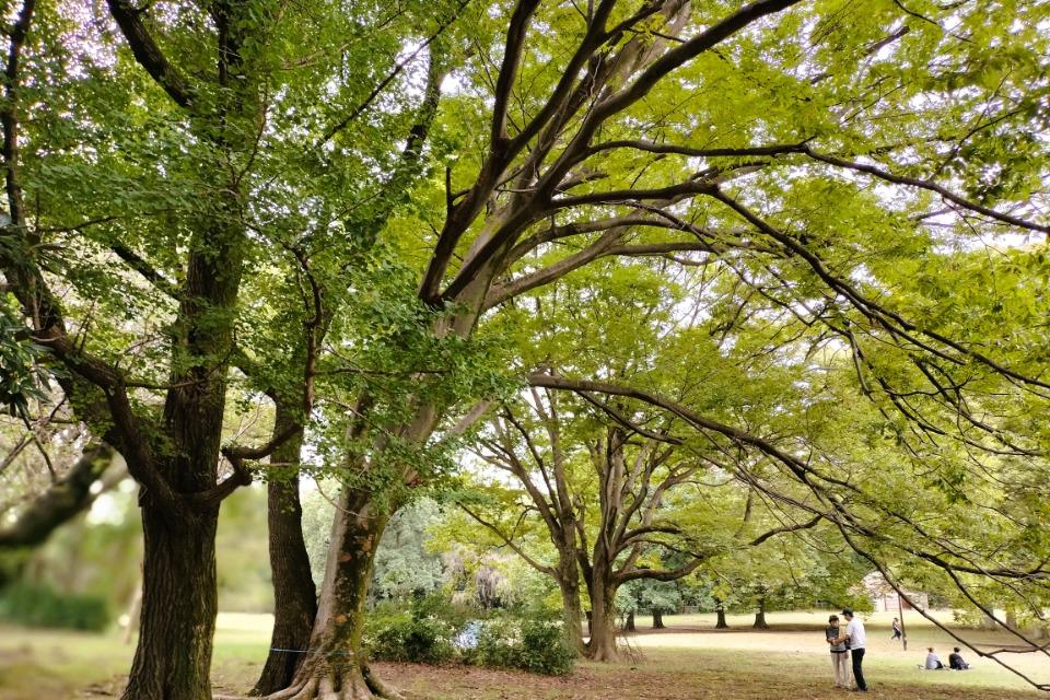 事業の必要経費の画像