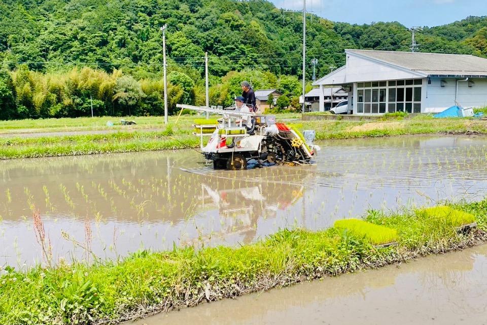 事業の必要経費の画像