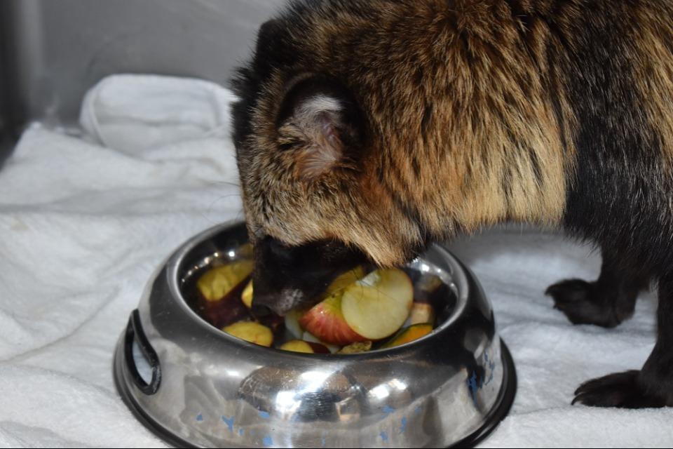 事業の必要経費の画像