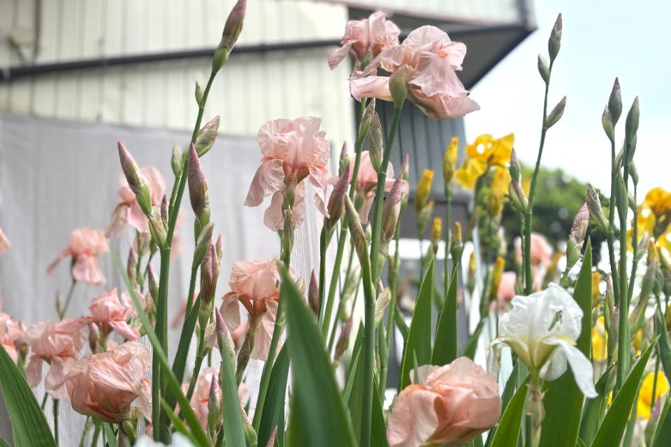 事業の必要経費の画像