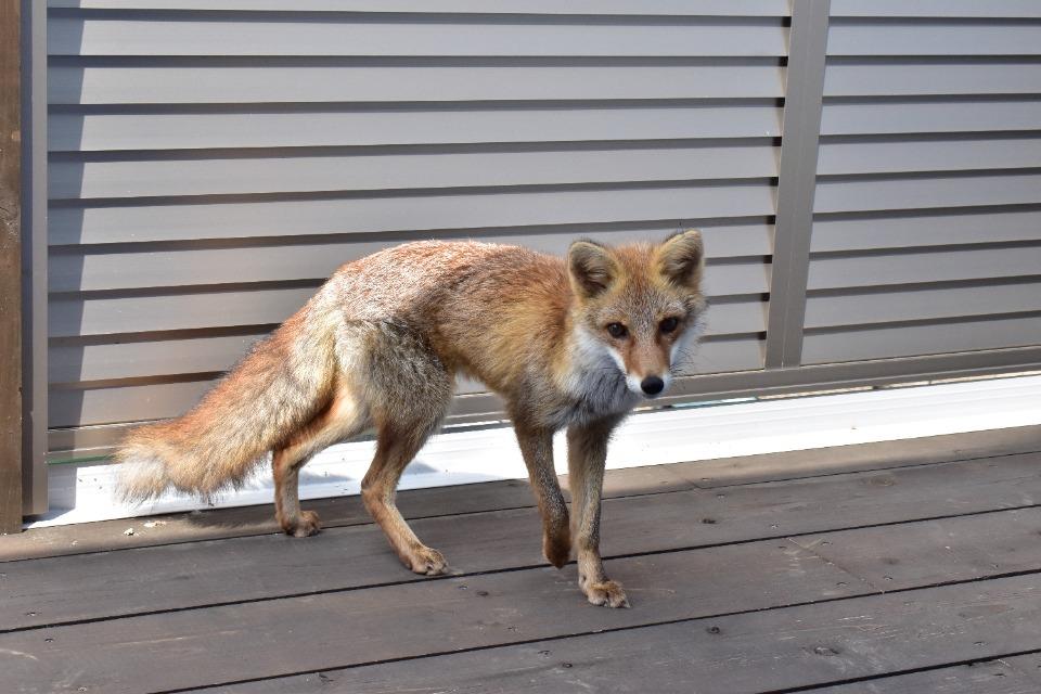 事業の必要経費の画像