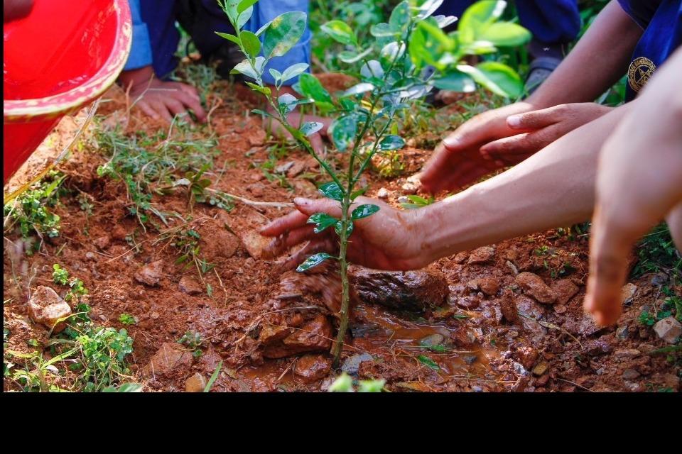 ネパールの農村部における教育/給食支援のメインビジュアル