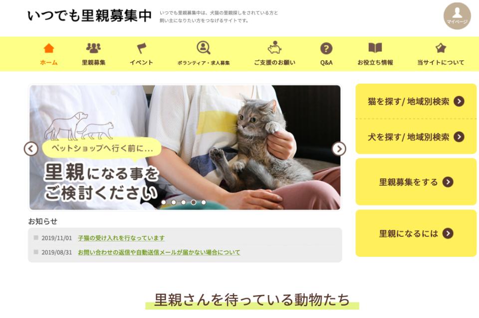 里親募集サイト「いつでも里親募集中」のメインビジュアル