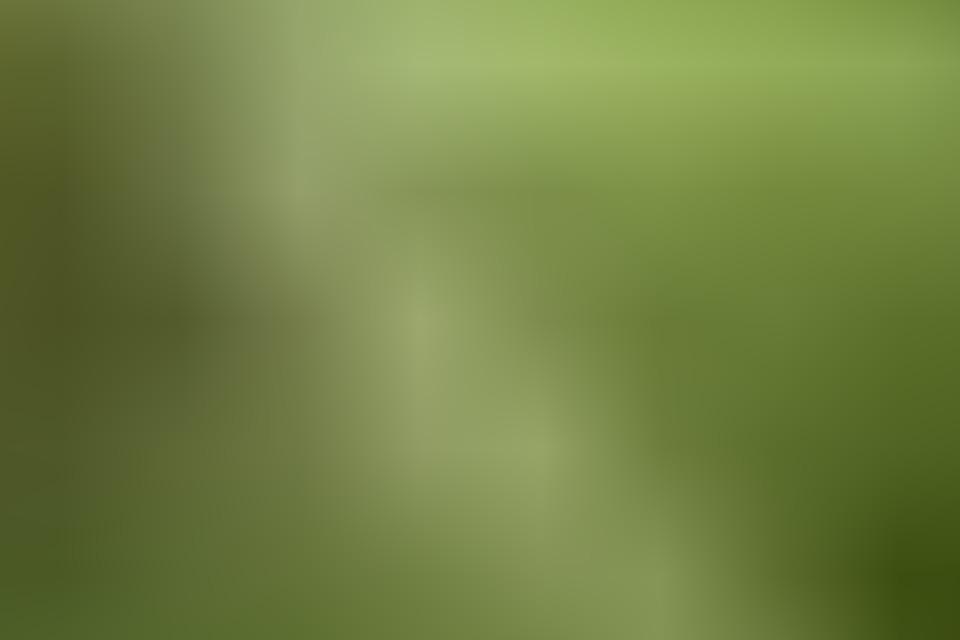 地域のまほろば教育(合宿や地域の会)、中高生セミナー、教育者研修会、教材等出版、WEB製作のメインビジュアル