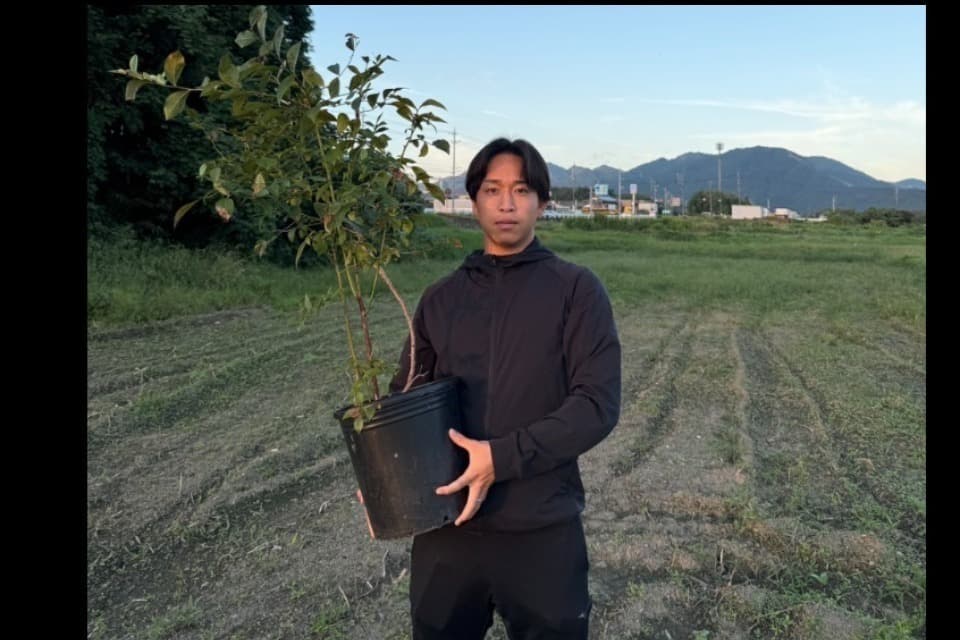 どんぐりFARM(農業)のメインビジュアル