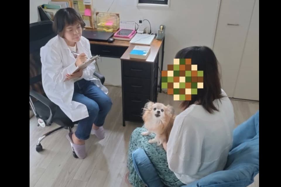 虐待サバイバー支援のひとつ、カウンセリングのメインビジュアル