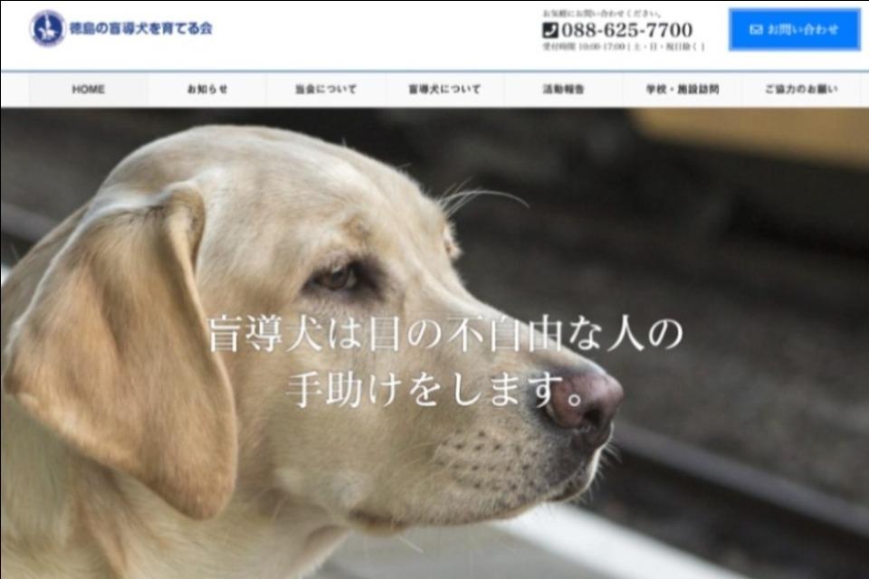 盲導犬育成・啓発・パピーウォーカー・引退犬支援事業のメインビジュアル