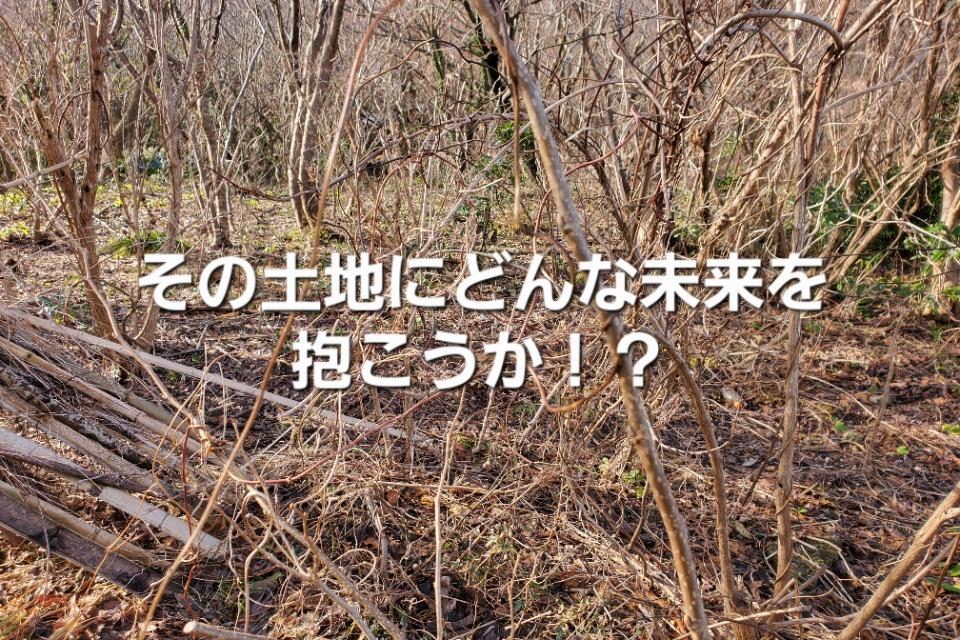 空き家・空き地管理のFINE HOMEのメインビジュアル