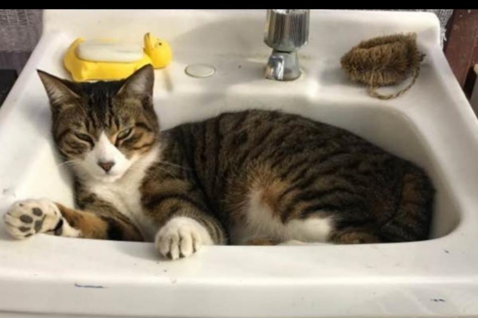 知的障害者・発達障害児・者、児童、生きづらさを感じている人の支援に関する事業のメインビジュアル