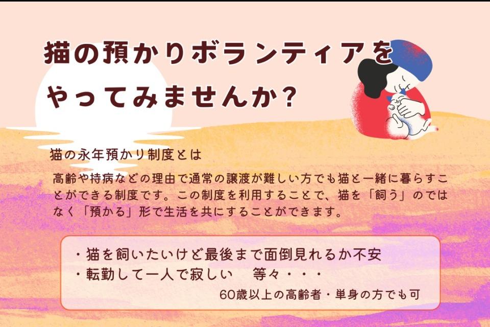 猫を飼って元気になろうプロジェクトのメインビジュアル