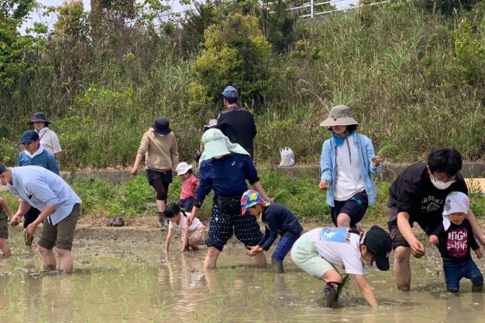 2025年10月new 自然体験活動のメインビジュアル