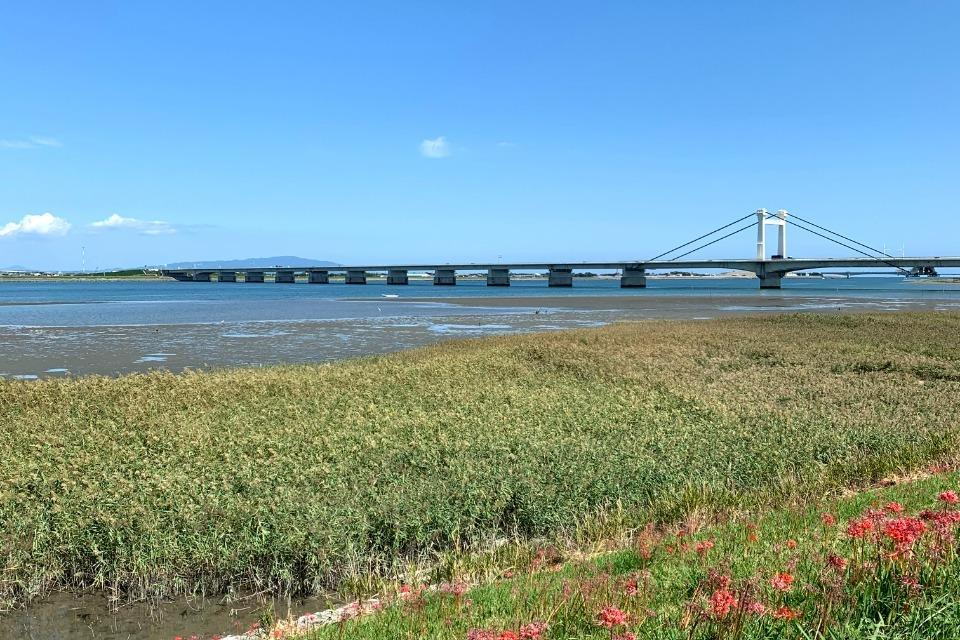 普及・啓発事業のメインビジュアル