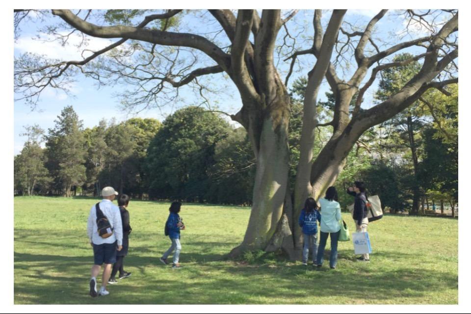 フリースクール事業(不登校の居場所・学びのサポート)のメインビジュアル