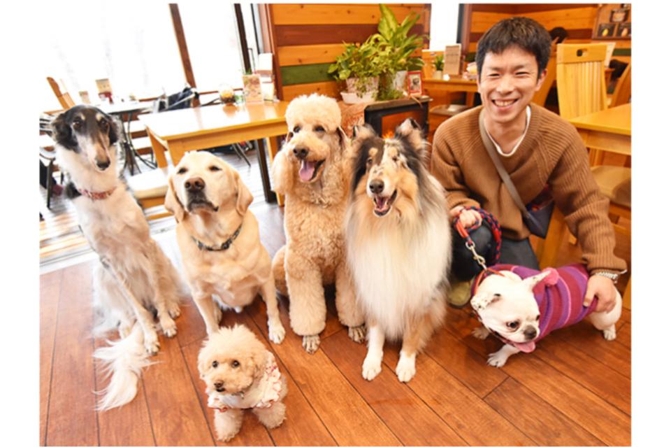 いぬかふぇ まいらのメインビジュアル