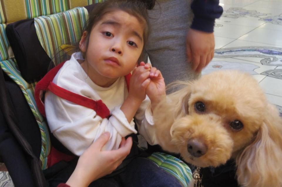 認知症カフェ「オレンジまいら」のメインビジュアル