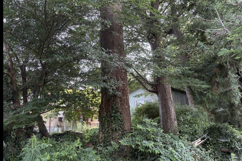 日本の歴史を物語る名家古民家の利活用検討プロジェクトのメインビジュアル