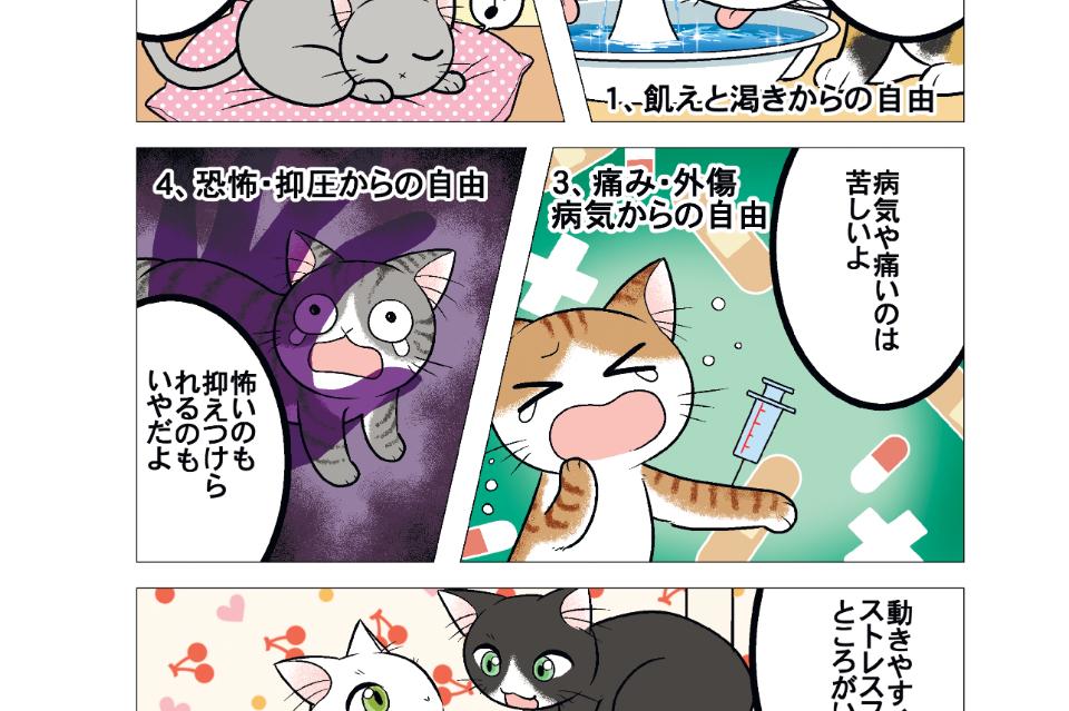 動物福祉の法制化のメインビジュアル