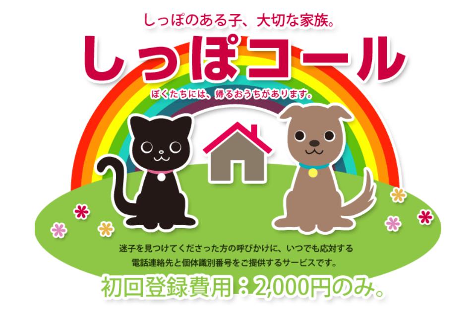 迷子に備えて・しっぽコールのメインビジュアル