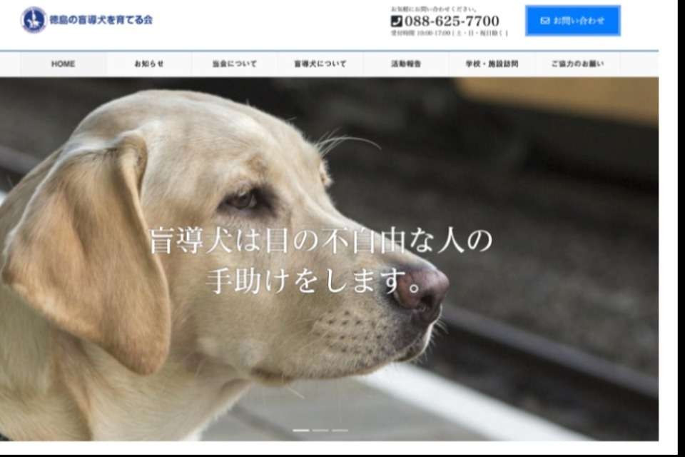 盲導犬育成・啓発・パピーウォーカー・引退犬支援事業のメインビジュアル