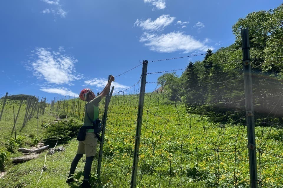 南アルプスを”守る“(高山植物等の保全活動)のメインビジュアル