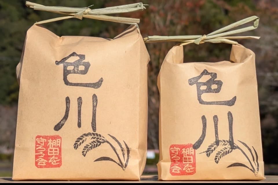 小阪の棚田の耕作・保全活動のメインビジュアル